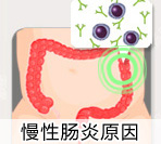 慢性肠炎为什么老是治不有效